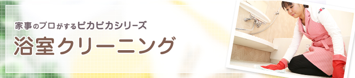 浴室クリーニング 浴室クリーニング