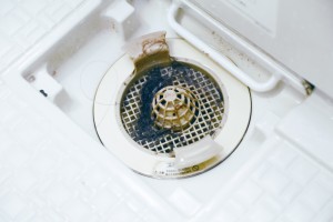 触りたくない排水溝のドロドロ汚れも! 触りたくない排水溝のドロドロ汚れも!